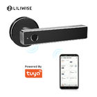 Tuya WiFi App Bluetooth πορτών κλειδαριών βιομετρική δακτυλικών αποτυπωμάτων πορτών λαβών ψηφιακή κλειδαριά πορτών Keyless έξυπνη